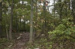 photo thumbnail #1