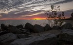 photo thumbnail #3