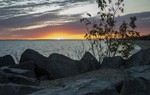 photo thumbnail #4