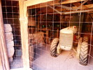 photo thumbnail #8
