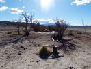 photo thumbnail #3