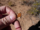 photo thumbnail #15