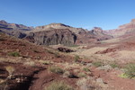 photo thumbnail #11