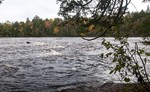 photo thumbnail #7