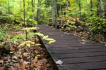 photo thumbnail #12