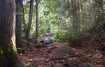 photo thumbnail #9