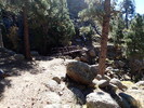 photo thumbnail #3