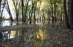 photo thumbnail #7
