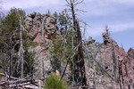 photo thumbnail #3