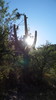 photo thumbnail #3