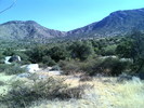 photo thumbnail #4