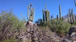 photo thumbnail #8