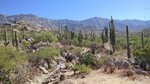 photo thumbnail #9