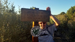 photo thumbnail #1
