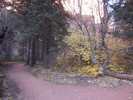 photo thumbnail #3