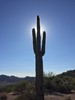 photo thumbnail #14