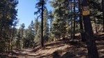 photo thumbnail #2