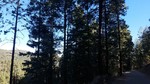 photo thumbnail #10