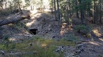 photo thumbnail #12