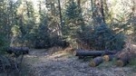 photo thumbnail #14