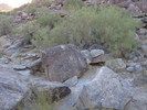 photo thumbnail #1