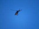 photo thumbnail #10