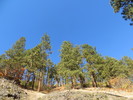 photo thumbnail #7