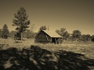 photo thumbnail #8