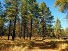 photo thumbnail #11