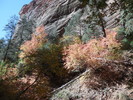 photo thumbnail #5