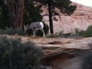 photo thumbnail #15