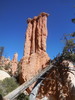 photo thumbnail #10