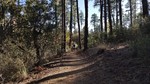 photo thumbnail #11
