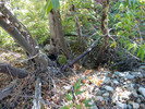 photo thumbnail #11