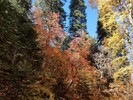 photo thumbnail #12