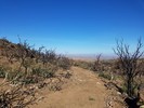 photo thumbnail #15