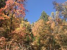 photo thumbnail #5