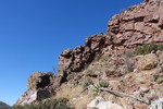 photo thumbnail #5