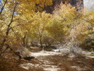 photo thumbnail #10