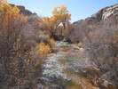 photo thumbnail #11
