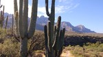 photo thumbnail #4