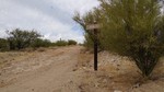 photo thumbnail #6