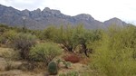 photo thumbnail #7