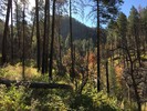 photo thumbnail #2