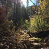 photo thumbnail #3
