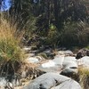 photo thumbnail #9