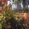 photo thumbnail #10