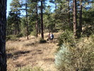 photo thumbnail #2