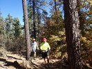 photo thumbnail #5