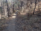 photo thumbnail #12
